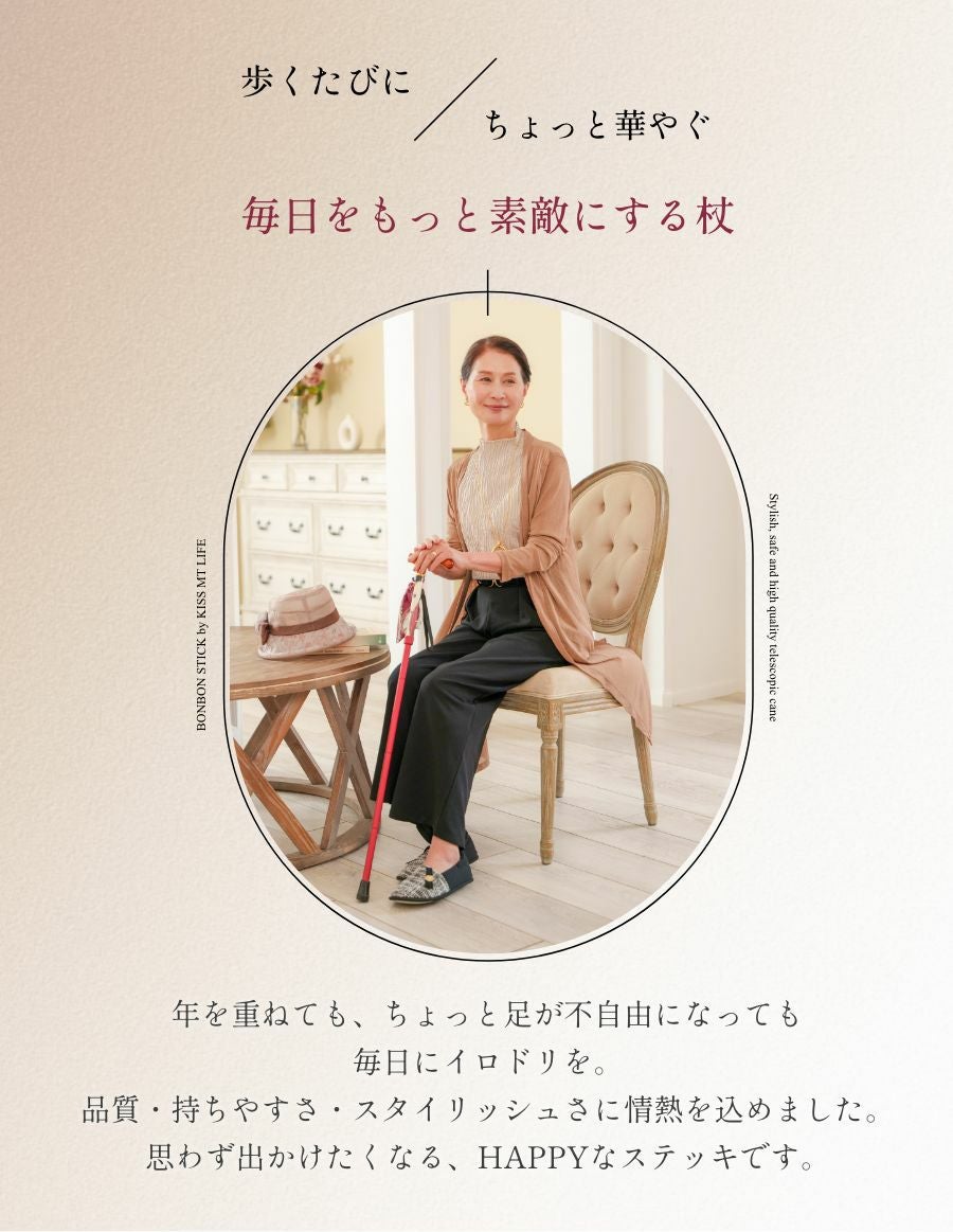 折りたたみ杖 -BONBON STICK- /ビンテージチェーン柄