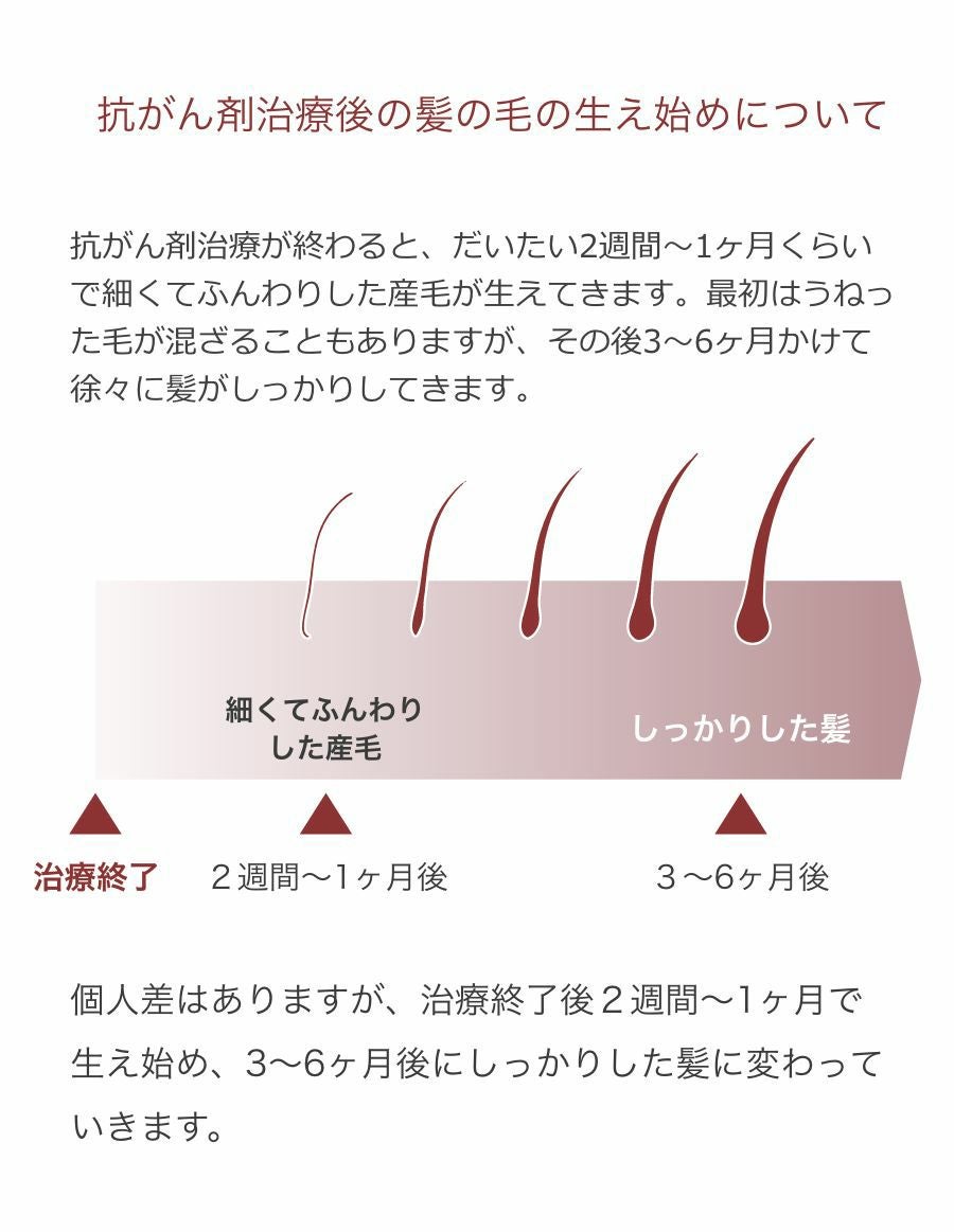 オーガニック シャンプー＆コンディショナーセット