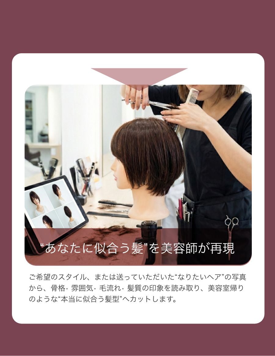 パーソナルフィットウィッグ　 似合わせウイッグ セット