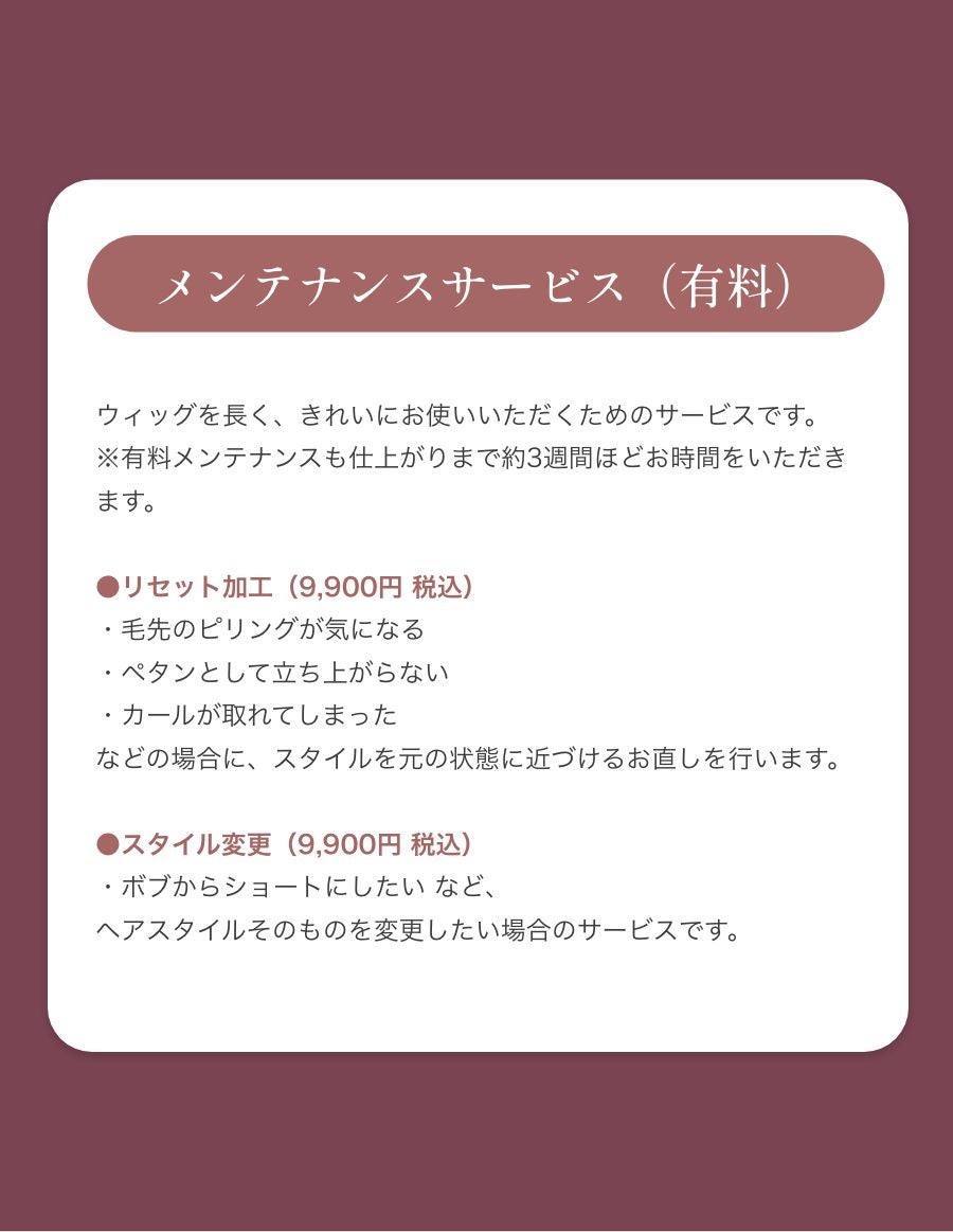 パーソナルフィットウィッグ　 似合わせウイッグ セット